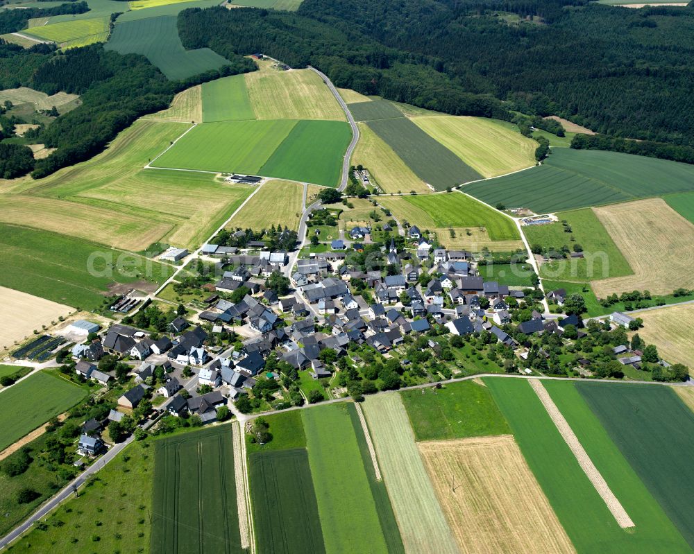 Aerial image Raversbeuren - Agricultural land and field boundaries surround the settlement area of the village in Raversbeuren in the state Rhineland-Palatinate, Germany