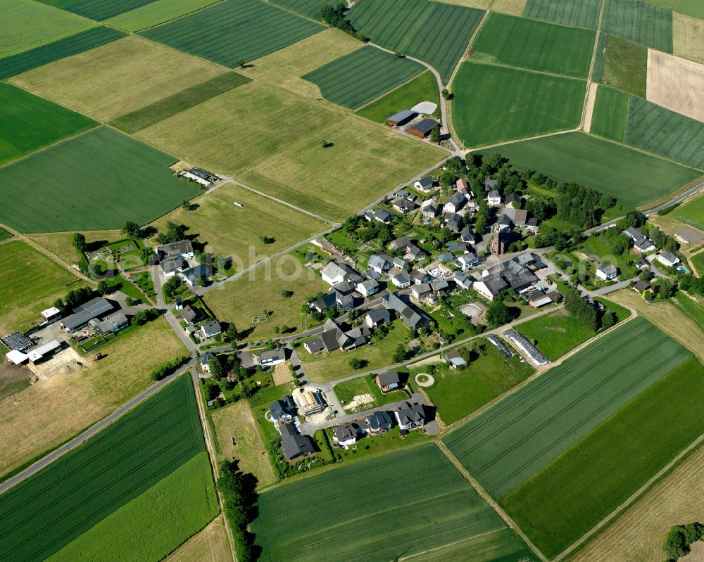 Rayerschied from the bird's eye view: Agricultural land and field boundaries surround the settlement area of the village in Rayerschied in the state Rhineland-Palatinate, Germany