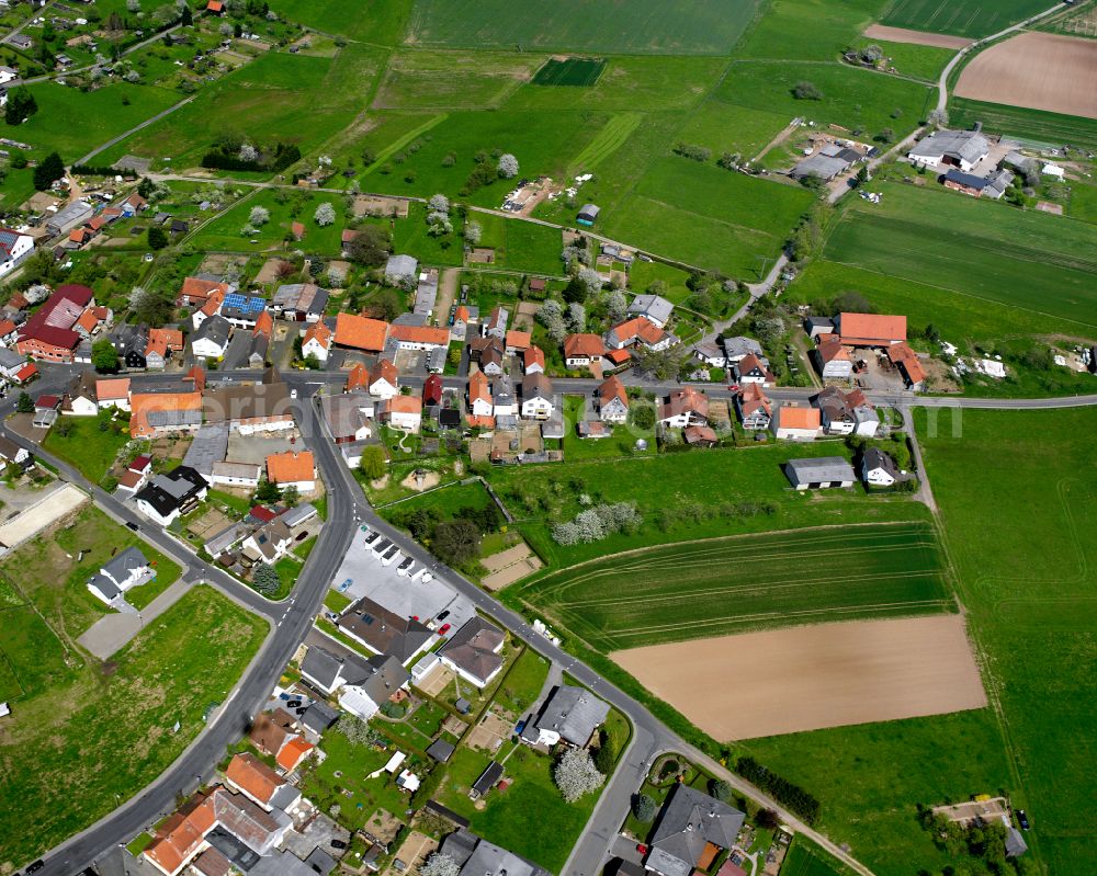 Rüddingshausen from the bird's eye view: Agricultural land and field boundaries surround the settlement area of the village in Rüddingshausen in the state Hesse, Germany