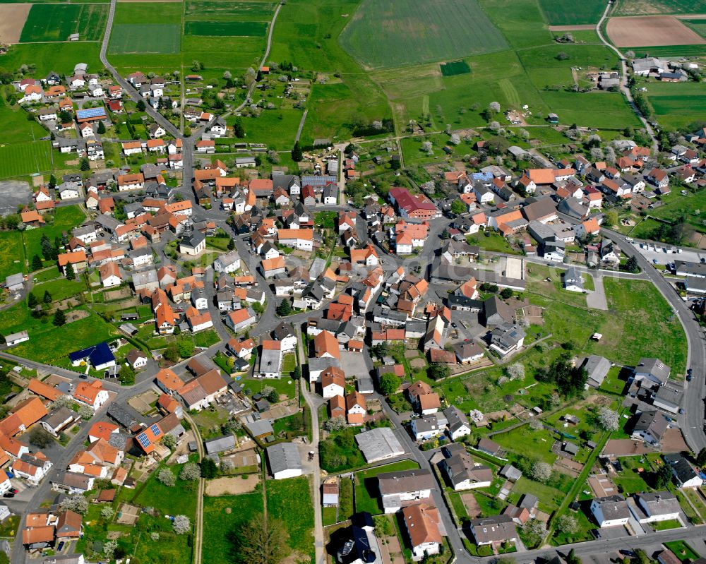 Aerial image Rüddingshausen - Agricultural land and field boundaries surround the settlement area of the village in Rüddingshausen in the state Hesse, Germany