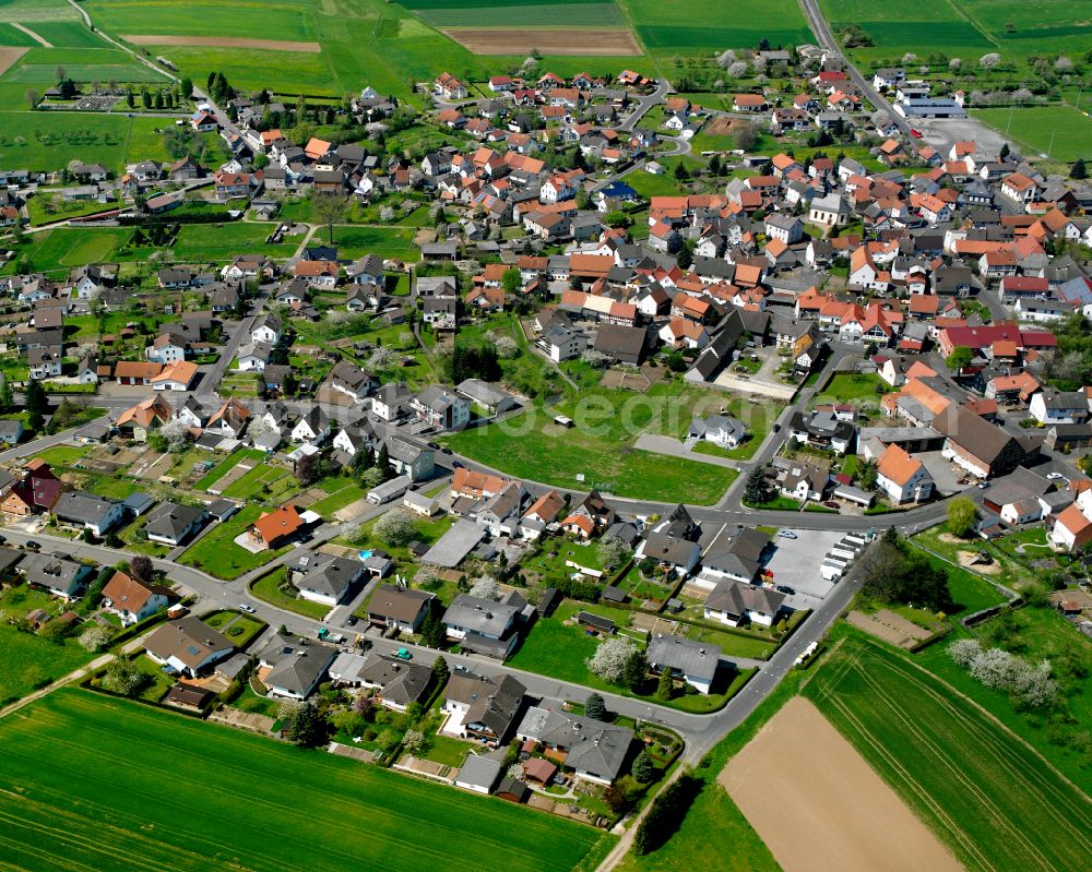 Rüddingshausen from above - Agricultural land and field boundaries surround the settlement area of the village in Rüddingshausen in the state Hesse, Germany