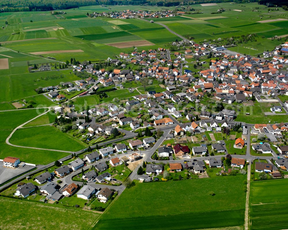 Rüddingshausen from the bird's eye view: Agricultural land and field boundaries surround the settlement area of the village in Rüddingshausen in the state Hesse, Germany