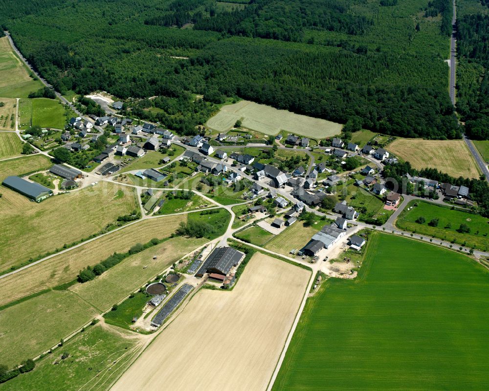 Aerial photograph Rödelhausen - Agricultural land and field boundaries surround the settlement area of the village in Rödelhausen in the state Rhineland-Palatinate, Germany