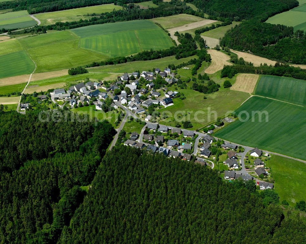 Aerial photograph Rödern - Agricultural land and field boundaries surround the settlement area of the village in Rödern in the state Rhineland-Palatinate, Germany