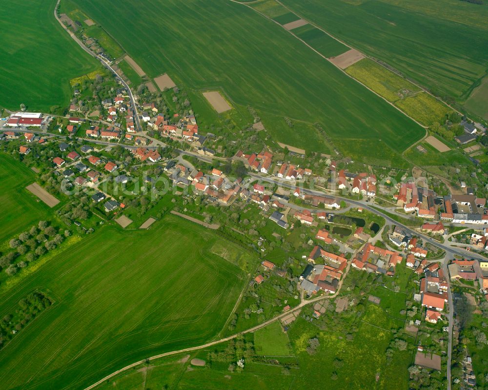 Rüdersdorf from the bird's eye view: Agricultural land and field boundaries surround the settlement area of the village in Ruedersdorf in the state Thuringia, Germany