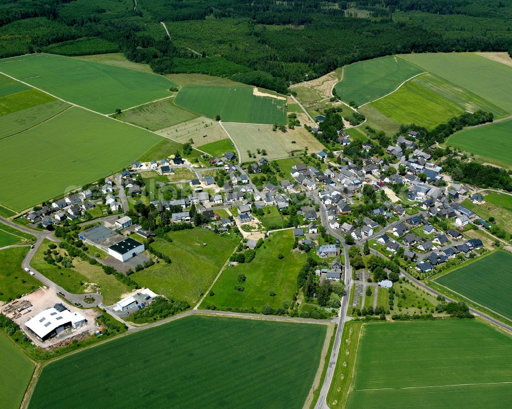 Reckershausen from the bird's eye view: Agricultural land and field boundaries surround the settlement area of the village in Reckershausen in the state Rhineland-Palatinate, Germany