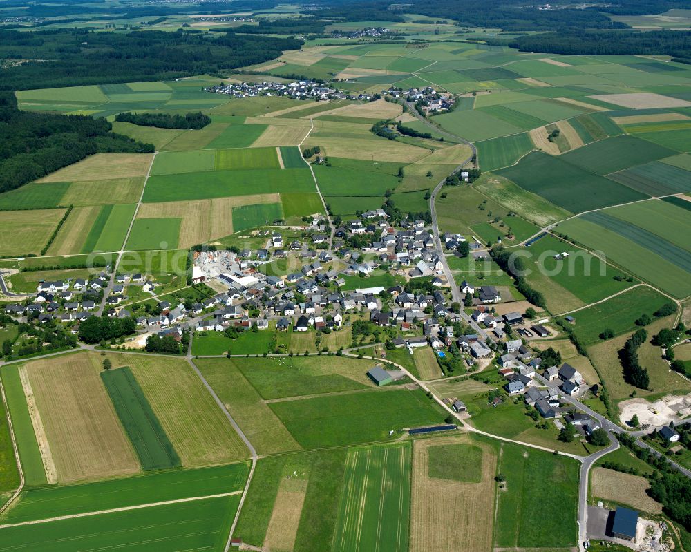 Reich from above - Agricultural land and field boundaries surround the settlement area of the village in Reich in the state Rhineland-Palatinate, Germany