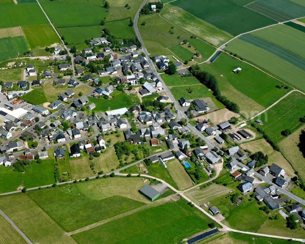 Reich from the bird's eye view: Agricultural land and field boundaries surround the settlement area of the village in Reich in the state Rhineland-Palatinate, Germany