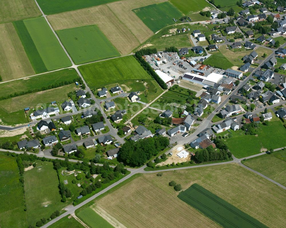 Aerial image Reich - Agricultural land and field boundaries surround the settlement area of the village in Reich in the state Rhineland-Palatinate, Germany