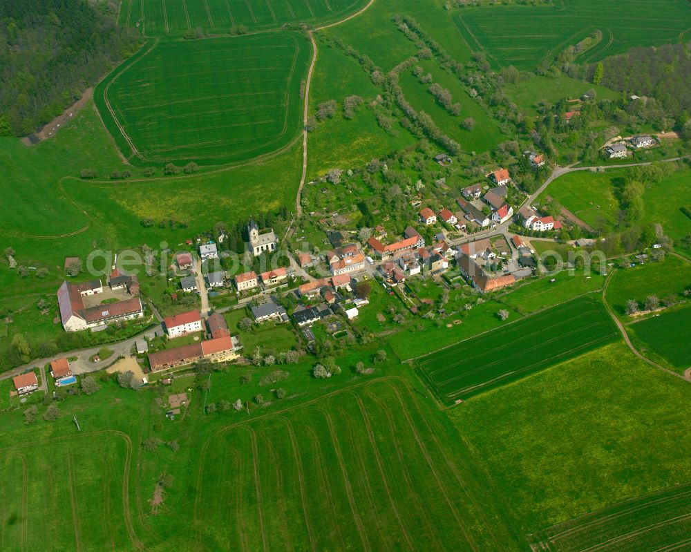 Aerial photograph Reichardtsdorf - Agricultural land and field boundaries surround the settlement area of the village in Reichardtsdorf in the state Thuringia, Germany