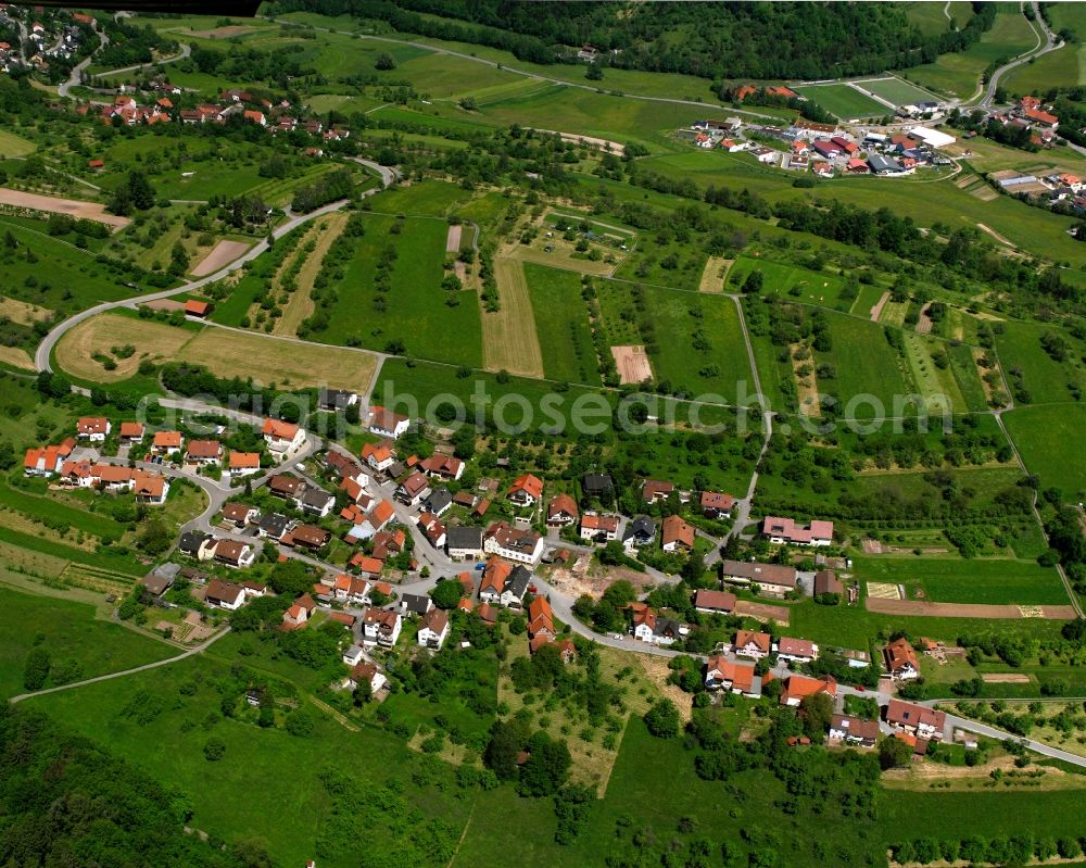 Reichenbach from the bird's eye view: Agricultural land and field boundaries surround the settlement area of the village in Reichenbach in the state Baden-Wuerttemberg, Germany