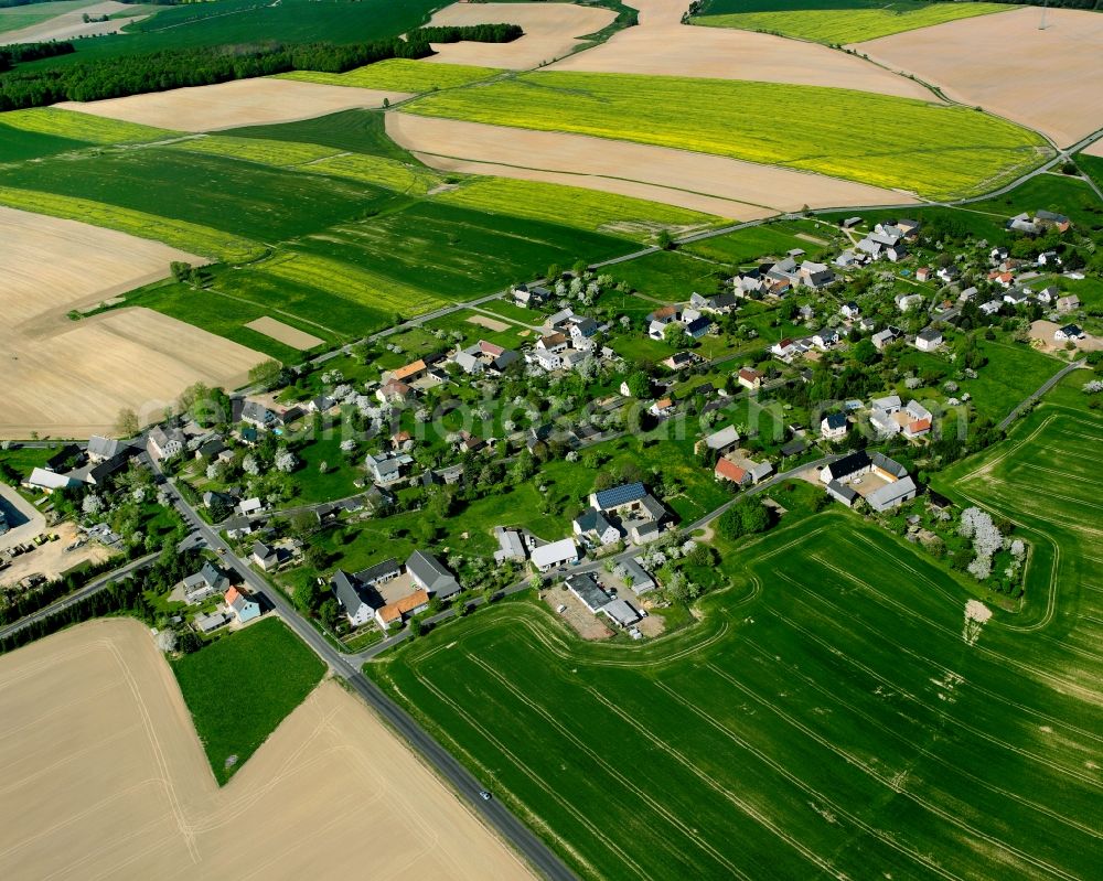 Reichenbach from the bird's eye view: Agricultural land and field boundaries surround the settlement area of the village in Reichenbach in the state Saxony, Germany