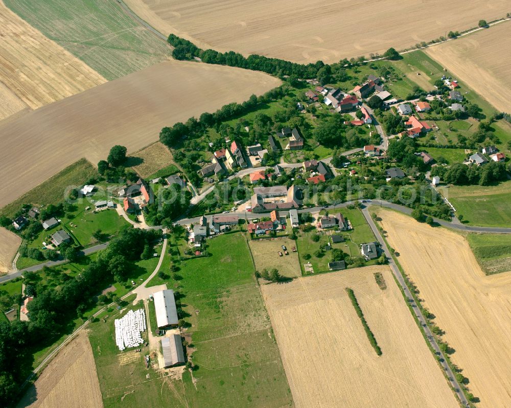 Aerial image Reichenbach - Agricultural land and field boundaries surround the settlement area of the village in Reichenbach in the state Thuringia, Germany