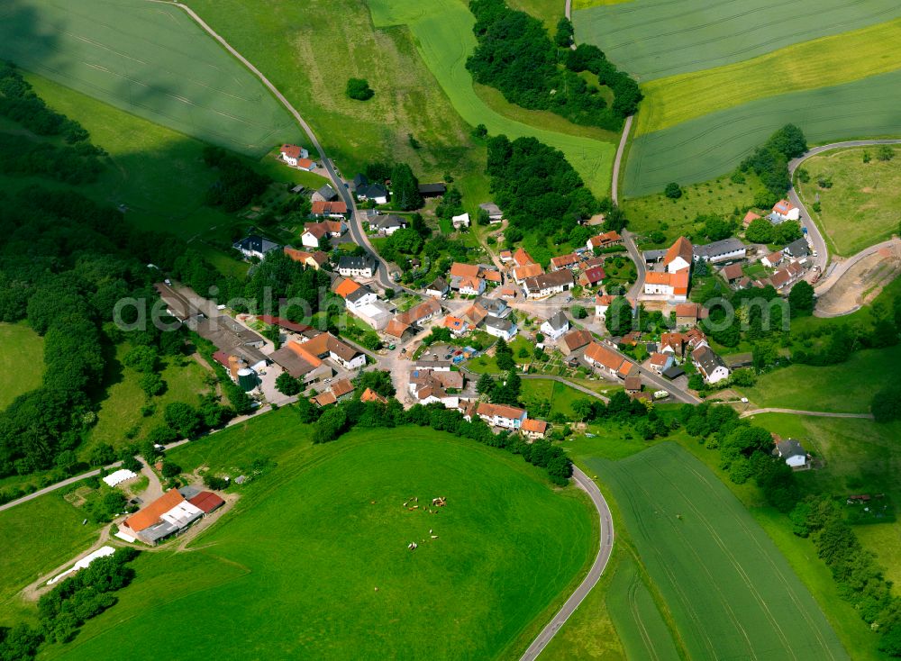 Reichsthal from above - Agricultural land and field boundaries surround the settlement area of the village in Reichsthal in the state Rhineland-Palatinate, Germany