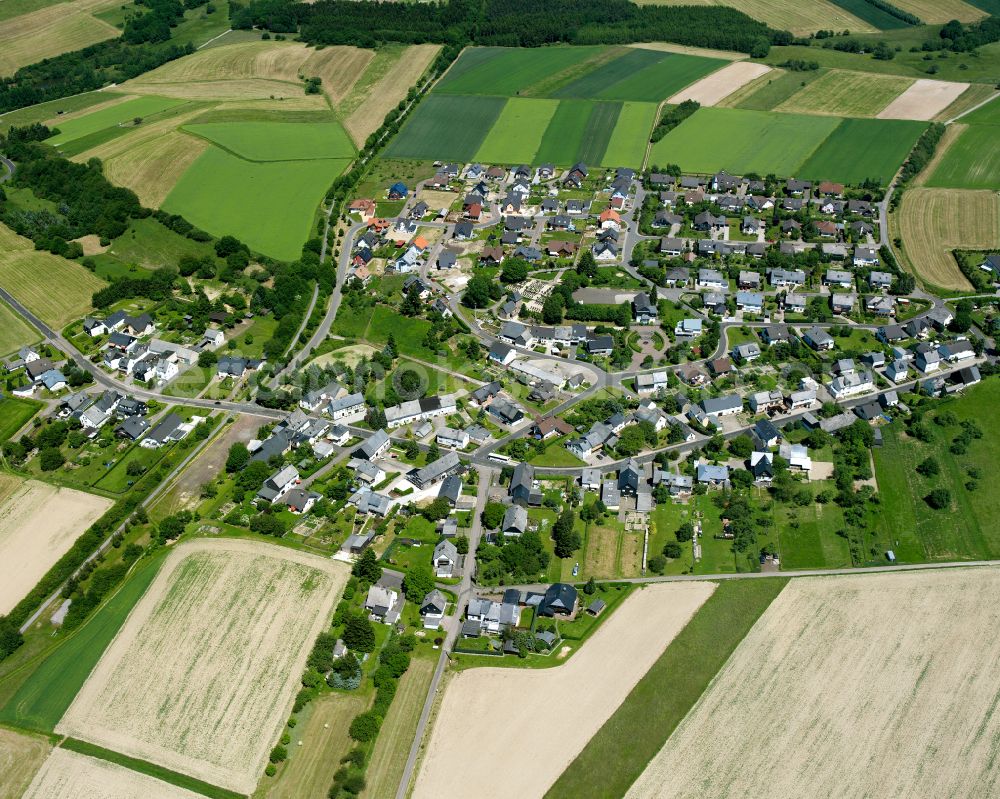 Reifenthal from above - Agricultural land and field boundaries surround the settlement area of the village in Reifenthal in the state Rhineland-Palatinate, Germany