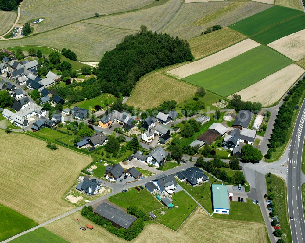 Reifenthal from the bird's eye view: Agricultural land and field boundaries surround the settlement area of the village in Reifenthal in the state Rhineland-Palatinate, Germany