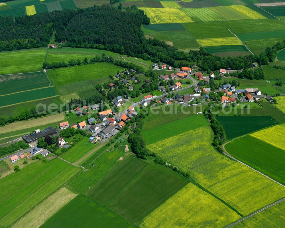 Aerial image Reimenrod - Agricultural land and field boundaries surround the settlement area of the village in Reimenrod in the state Hesse, Germany