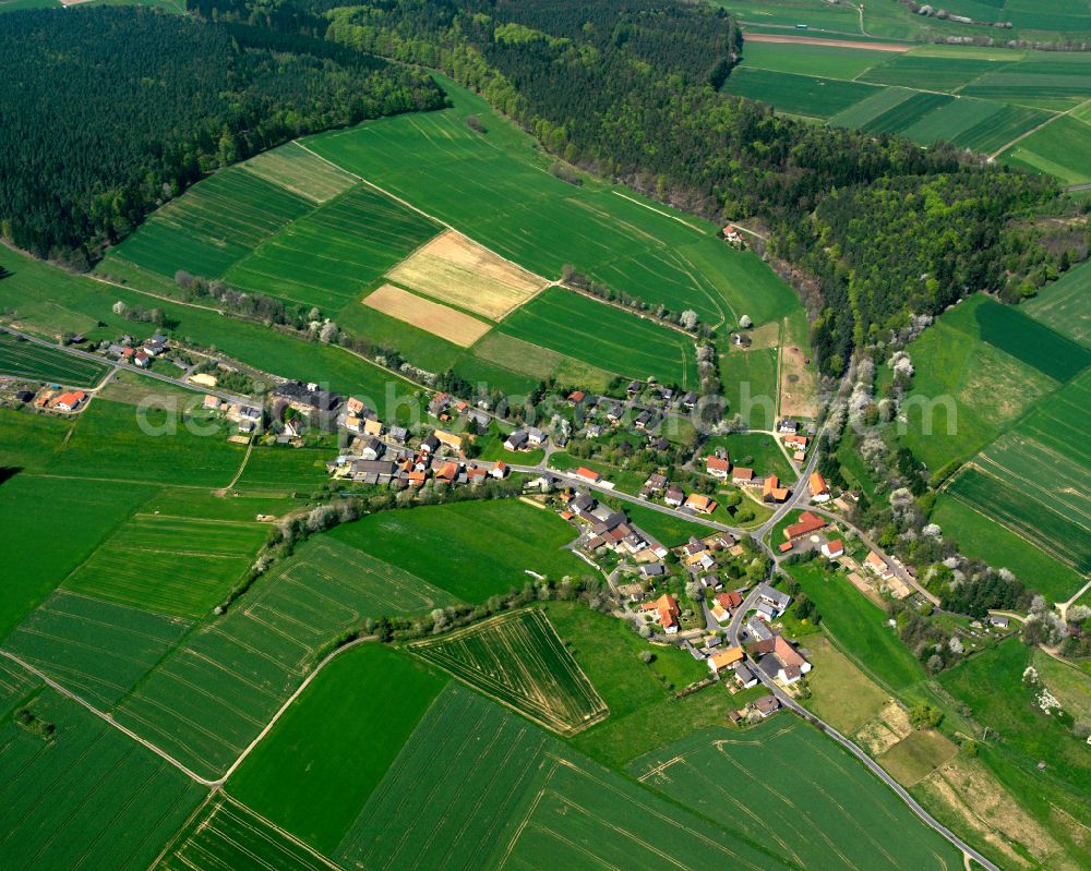 Reimenrod from the bird's eye view: Agricultural land and field boundaries surround the settlement area of the village in Reimenrod in the state Hesse, Germany