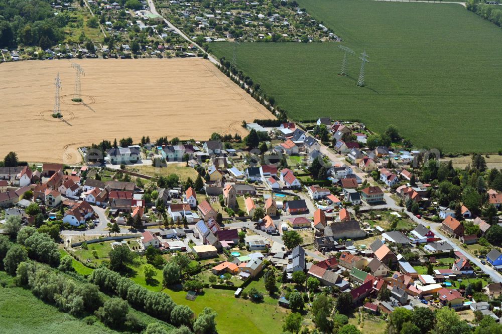 Reipisch from above - Agricultural land and field boundaries surround the settlement area of the village in Reipisch in the state Saxony-Anhalt, Germany