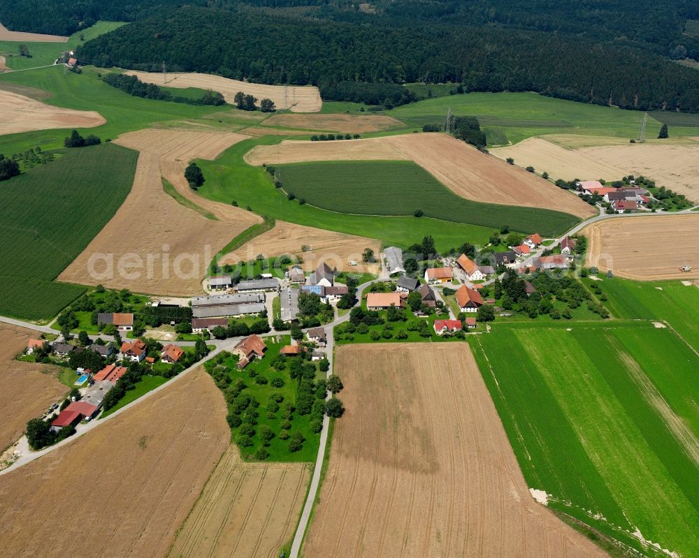 Aerial photograph Reischach - Agricultural land and field boundaries surround the settlement area of the village in Reischach in the state Baden-Wuerttemberg, Germany