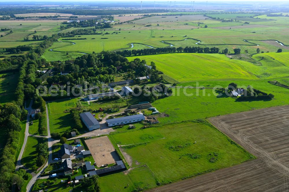 Rekentin from above - Agricultural land and field boundaries surround the settlement area of the village on street Kastanienweg in Rekentin in the state Mecklenburg - Western Pomerania, Germany