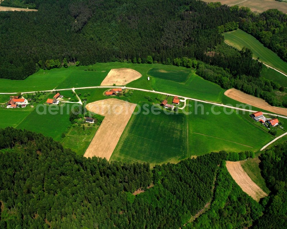 Rembach from the bird's eye view: Agricultural land and field boundaries surround the settlement area of the village in Rembach in the state Bavaria, Germany