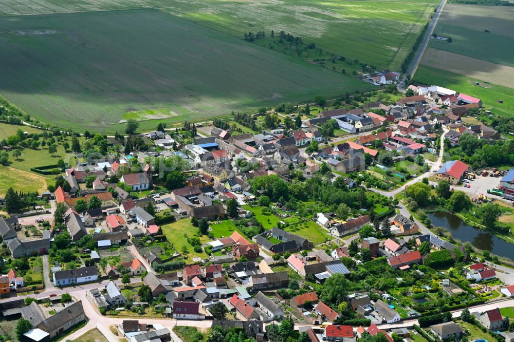 Aerial image Reppichau - Agricultural land and field boundaries surround the settlement area of the village in Reppichau in the state Saxony-Anhalt, Germany