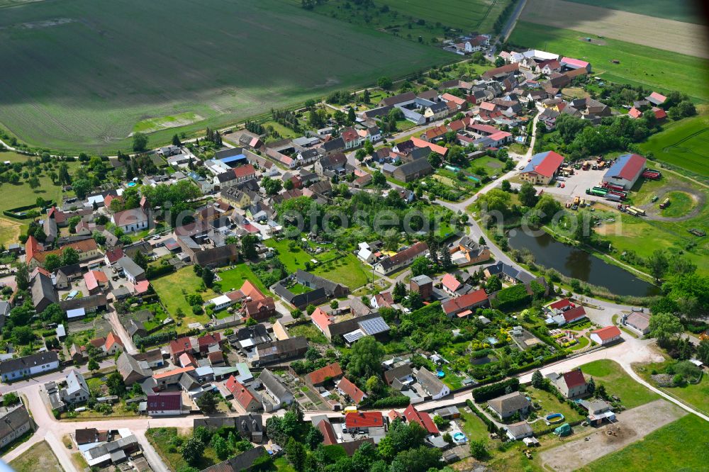 Aerial photograph Reppichau - Agricultural land and field boundaries surround the settlement area of the village in Reppichau in the state Saxony-Anhalt, Germany