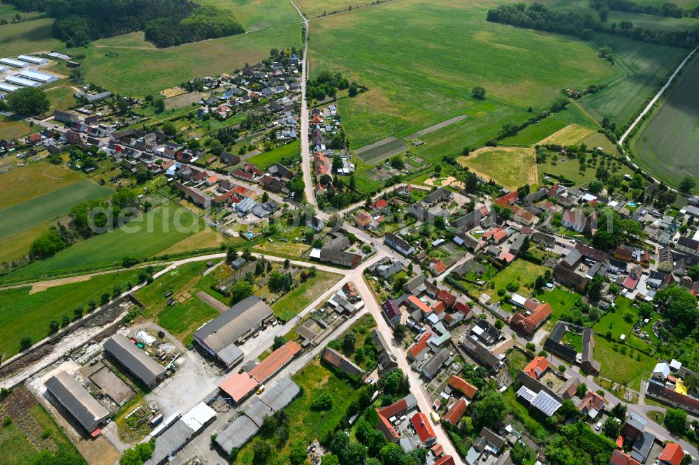 Reppichau from above - Agricultural land and field boundaries surround the settlement area of the village in Reppichau in the state Saxony-Anhalt, Germany