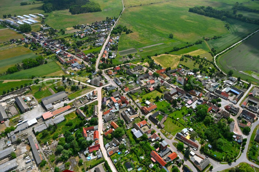 Reppichau from the bird's eye view: Agricultural land and field boundaries surround the settlement area of the village in Reppichau in the state Saxony-Anhalt, Germany