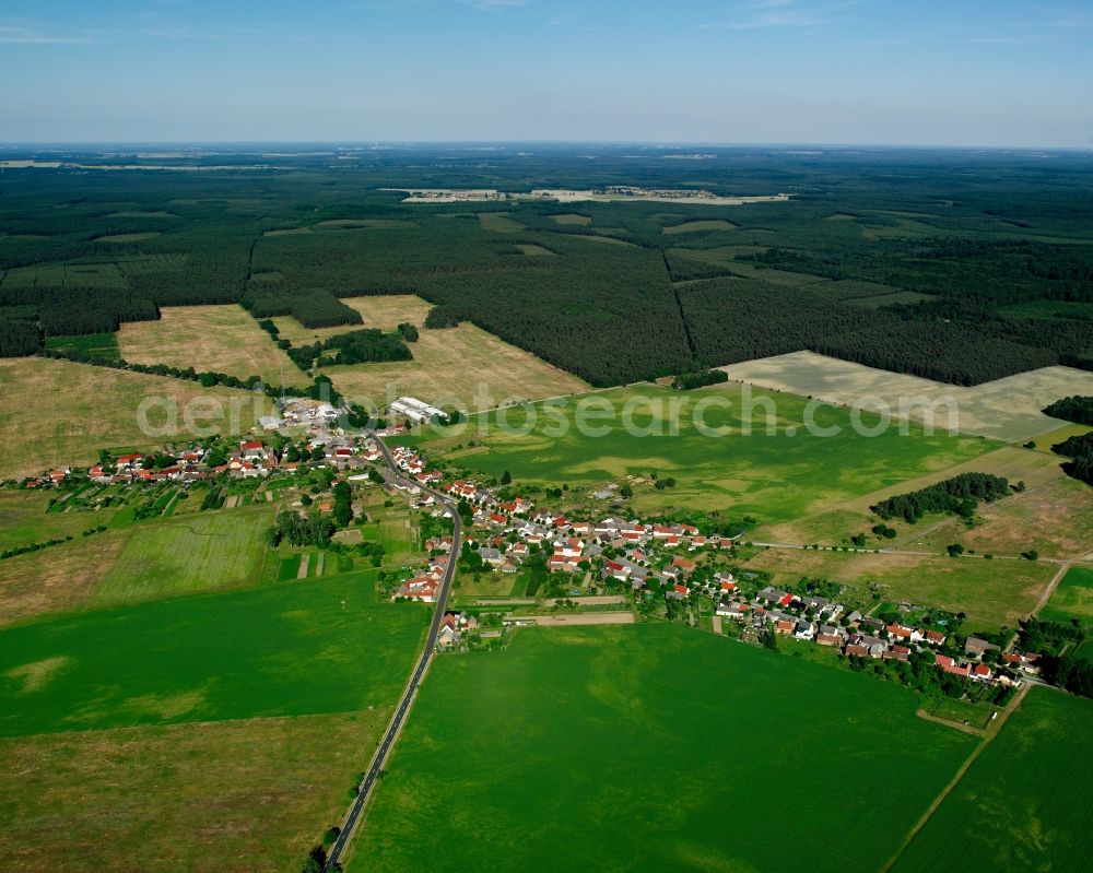 Reuden/Anhalt from the bird's eye view: Agricultural land and field boundaries surround the settlement area of the village in Reuden/Anhalt in the state Saxony-Anhalt, Germany