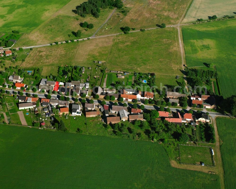 Aerial image Reuden/Anhalt - Agricultural land and field boundaries surround the settlement area of the village in Reuden/Anhalt in the state Saxony-Anhalt, Germany