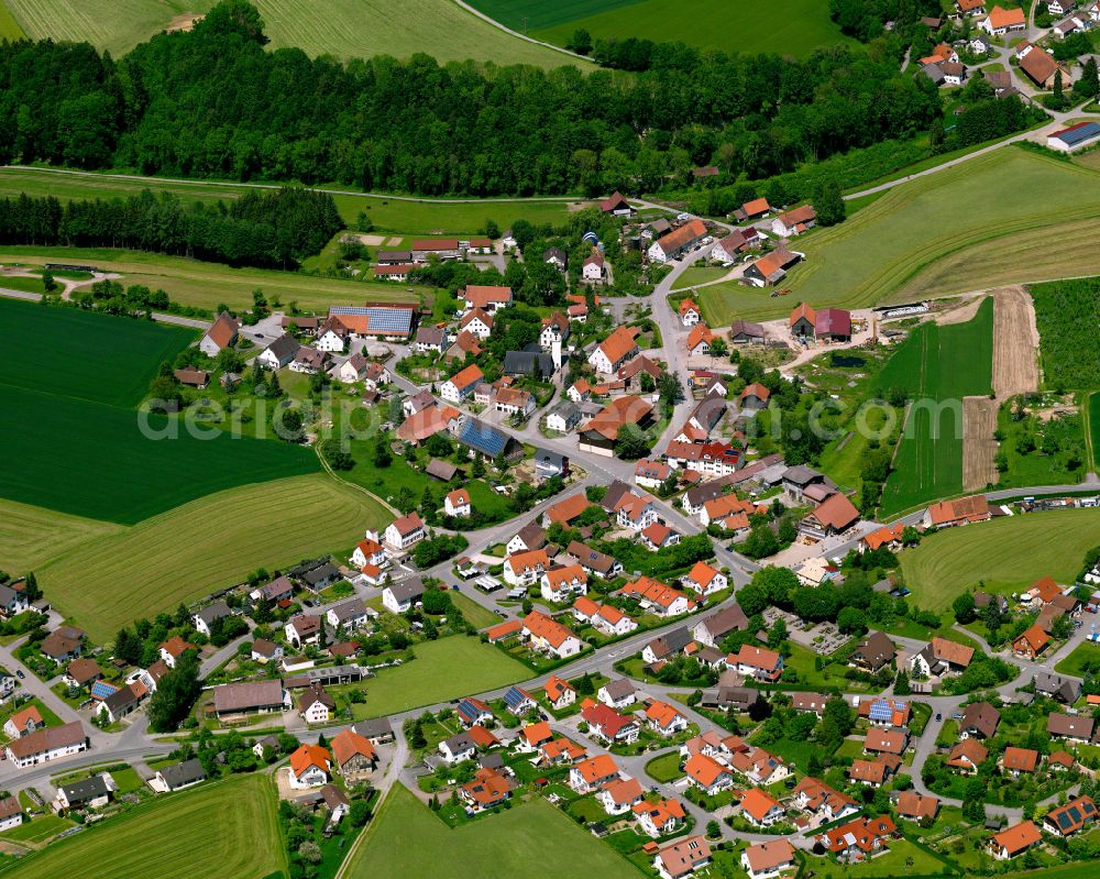 Reute from the bird's eye view: Agricultural land and field boundaries surround the settlement area of the village in Reute in the state Baden-Wuerttemberg, Germany