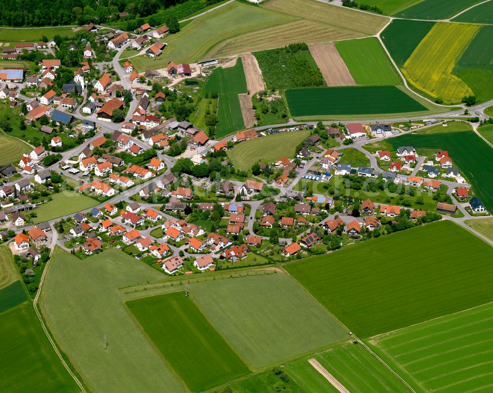 Aerial image Reute - Agricultural land and field boundaries surround the settlement area of the village in Reute in the state Baden-Wuerttemberg, Germany