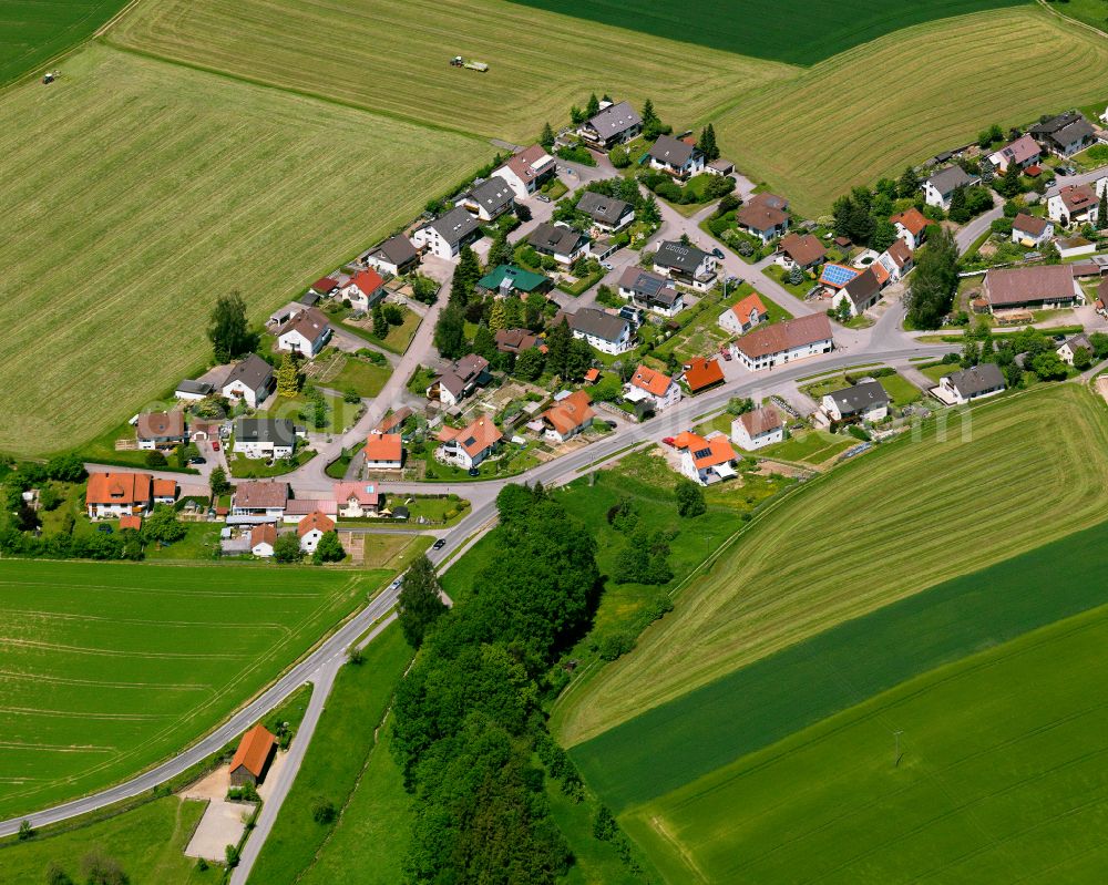 Aerial photograph Reute - Agricultural land and field boundaries surround the settlement area of the village in Reute in the state Baden-Wuerttemberg, Germany