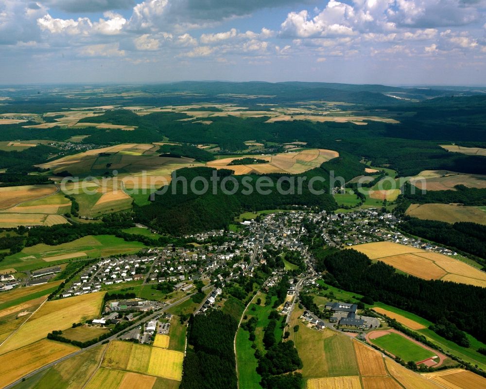 Rhaunen from the bird's eye view: Agricultural land and field boundaries surround the settlement area of the village in Rhaunen in the state Rhineland-Palatinate, Germany