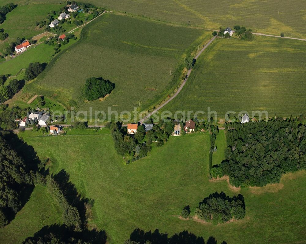 Riechberg from the bird's eye view: Agricultural land and field boundaries surround the settlement area of the village in Riechberg in the state Saxony, Germany