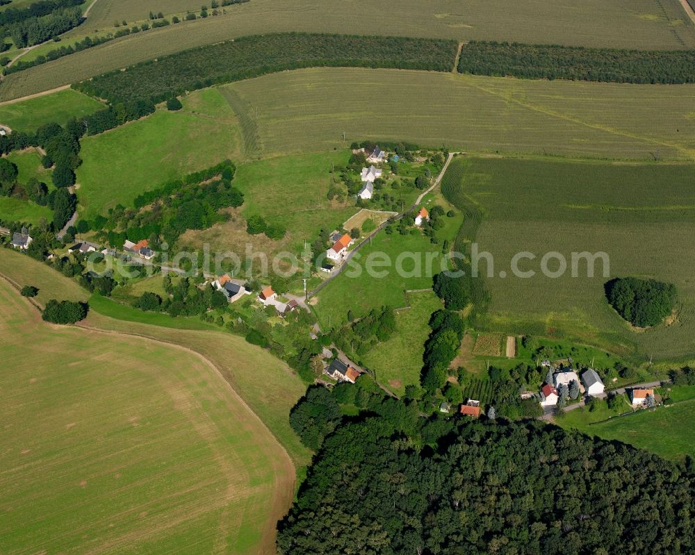 Aerial image Riechberg - Agricultural land and field boundaries surround the settlement area of the village in Riechberg in the state Saxony, Germany