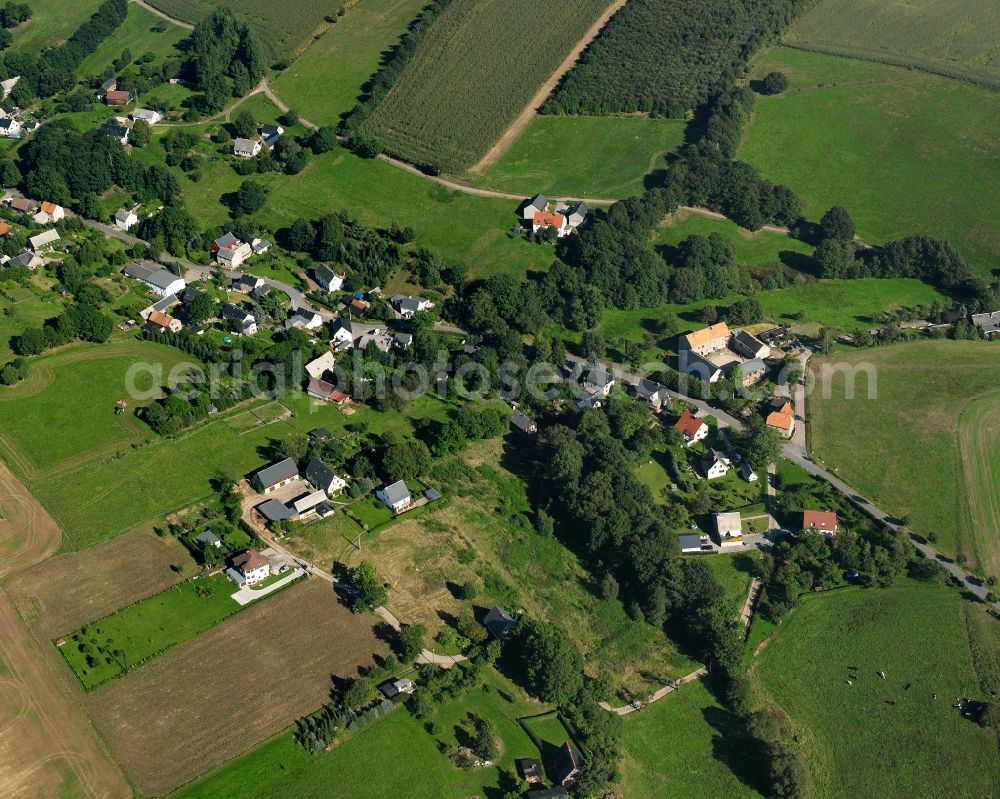 Riechberg from the bird's eye view: Agricultural land and field boundaries surround the settlement area of the village in Riechberg in the state Saxony, Germany