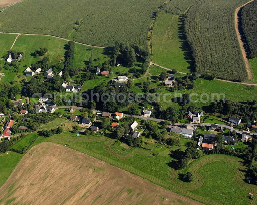 Aerial image Riechberg - Agricultural land and field boundaries surround the settlement area of the village in Riechberg in the state Saxony, Germany