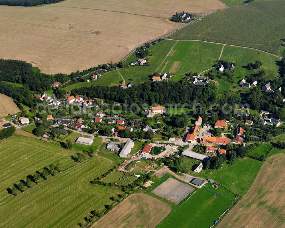 Aerial photograph Riechberg - Agricultural land and field boundaries surround the settlement area of the village in Riechberg in the state Saxony, Germany