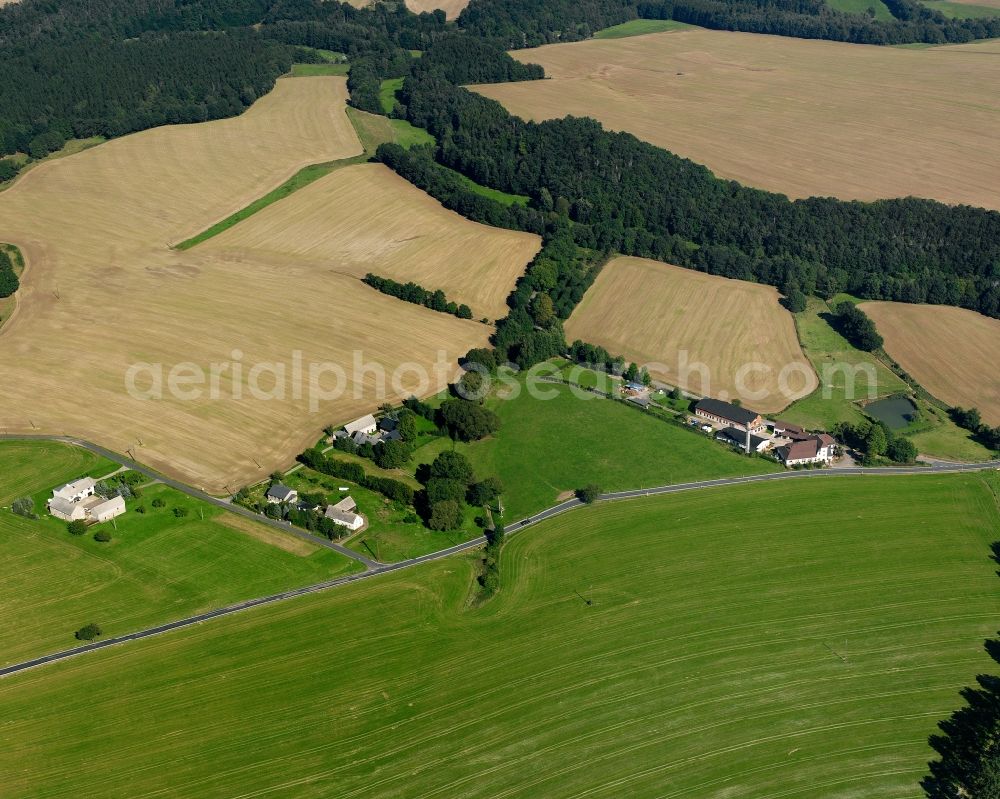 Riechberg from above - Agricultural land and field boundaries surround the settlement area of the village in Riechberg in the state Saxony, Germany