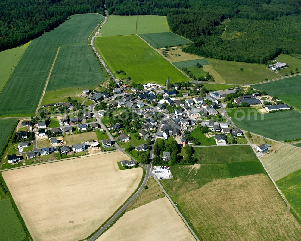 Aerial photograph Riegenroth - Agricultural land and field boundaries surround the settlement area of the village in Riegenroth in the state Rhineland-Palatinate, Germany