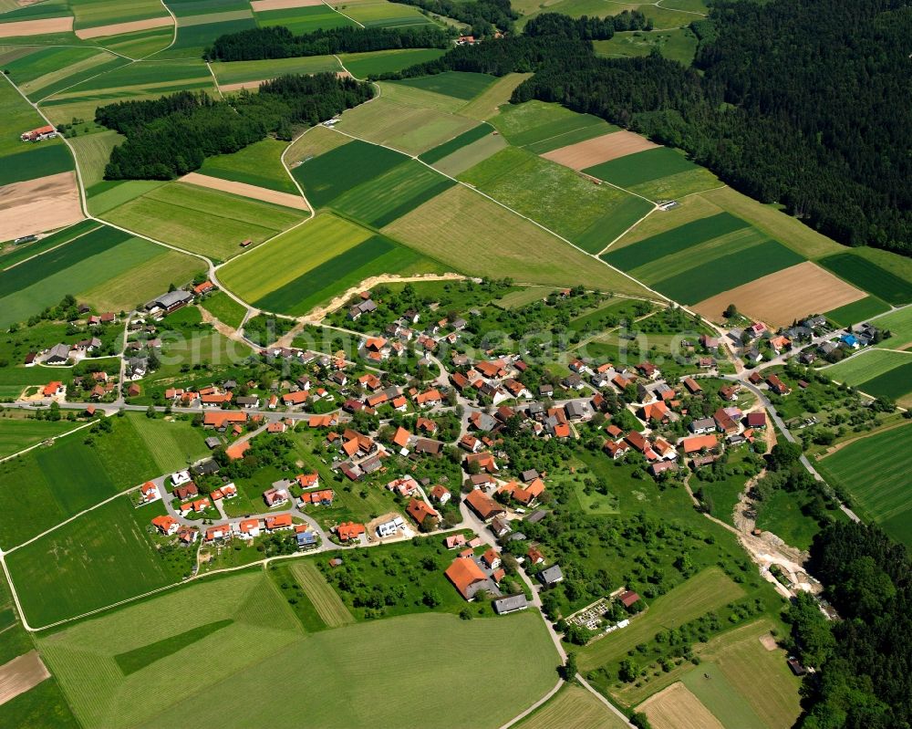 Rienharz from above - Agricultural land and field boundaries surround the settlement area of the village in Rienharz in the state Baden-Wuerttemberg, Germany