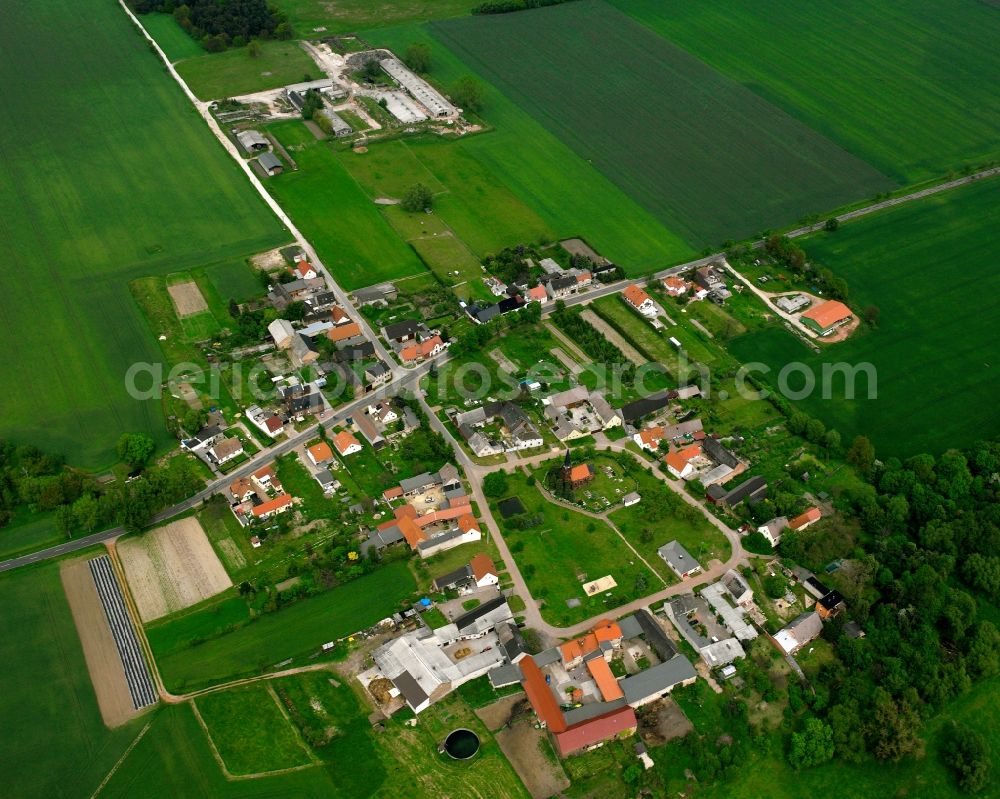 Aerial photograph Rietzmeck - Agricultural land and field boundaries surround the settlement area of the village in Rietzmeck in the state Saxony-Anhalt, Germany