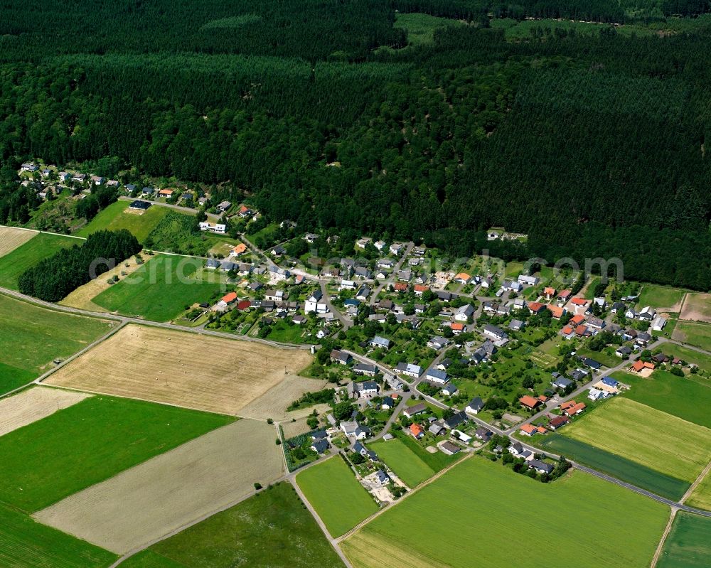 Aerial image Rinzenberg - Agricultural land and field boundaries surround the settlement area of the village in Rinzenberg in the state Rhineland-Palatinate, Germany