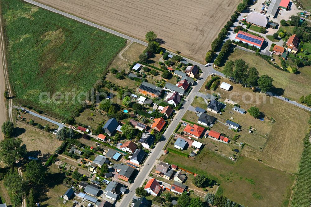 Robertsdorf from the bird's eye view: Agricultural land and field boundaries surround the settlement area of the village in Robertsdorf in the state Mecklenburg - Western Pomerania, Germany