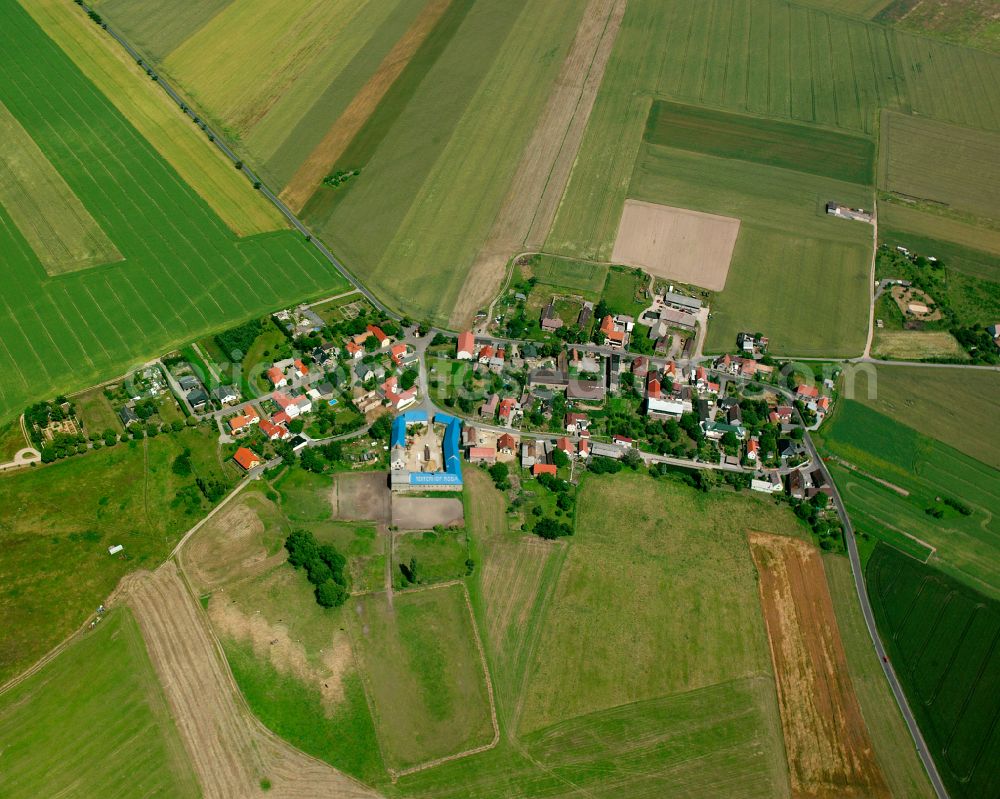 Roda from the bird's eye view: Agricultural land and field boundaries surround the settlement area of the village in Roda in the state Saxony, Germany