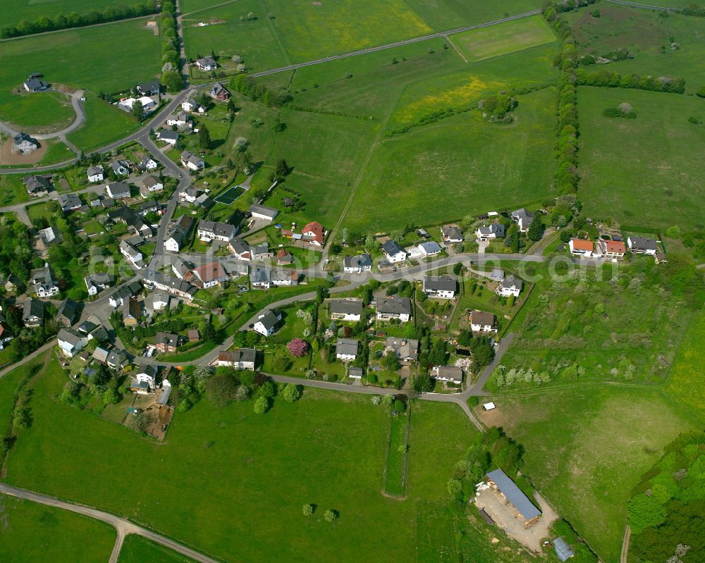 Rodenroth from the bird's eye view: Agricultural land and field boundaries surround the settlement area of the village in Rodenroth in the state Hesse, Germany