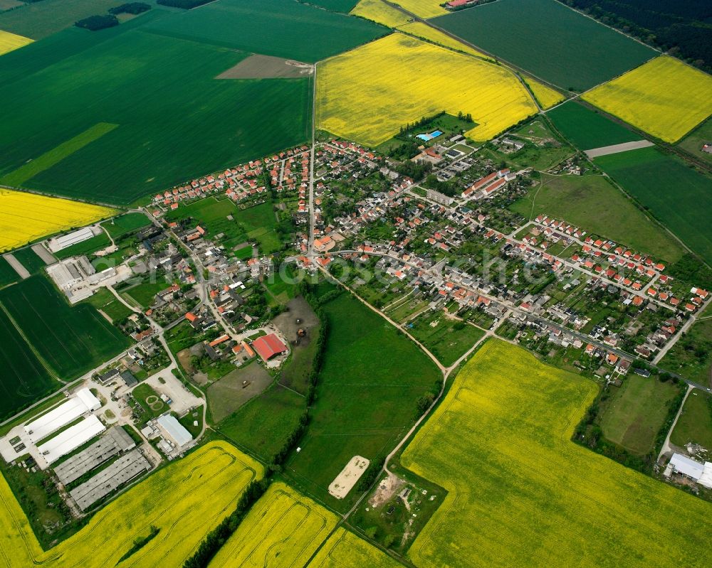 Aerial image Rodleben - Agricultural land and field boundaries surround the settlement area of the village in Rodleben in the state Saxony-Anhalt, Germany